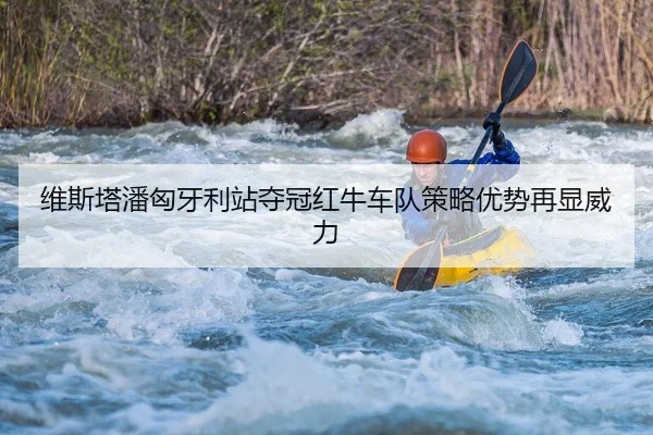wei-si-ta-pan-xiong-ya-li-zhan-duo-guan-hong-niu-che-dui-ce-lve-you-shi-zai-xian-wei-li-2-437.jpg